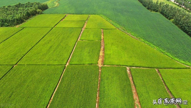农村土地退出补偿多少钱一亩?农村土地退出的流程详情