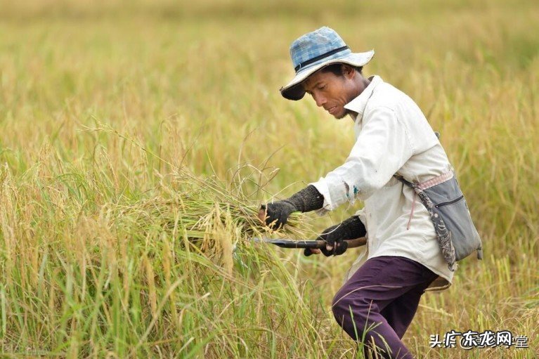 农村土地退出补偿多少钱一亩?农村土地退出的流程详情