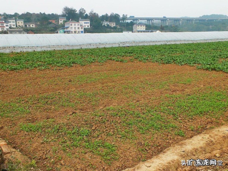 农村土地退出补偿多少钱一亩?农村土地退出的流程详情