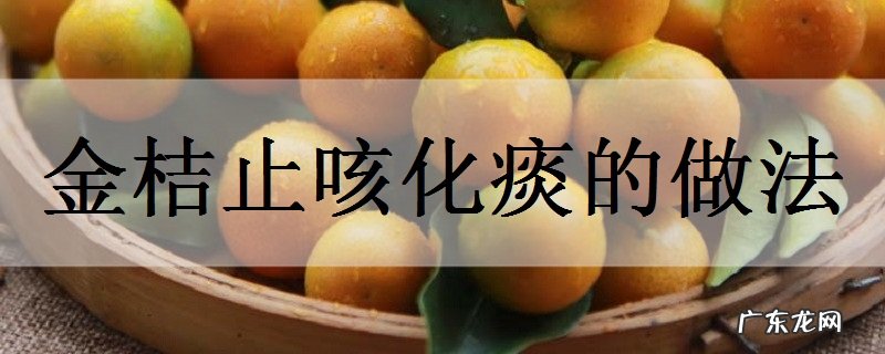 金桔止咳化痰的做法怎么吃效果好