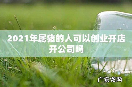 2021年属猪的人可以创业开店开公司吗