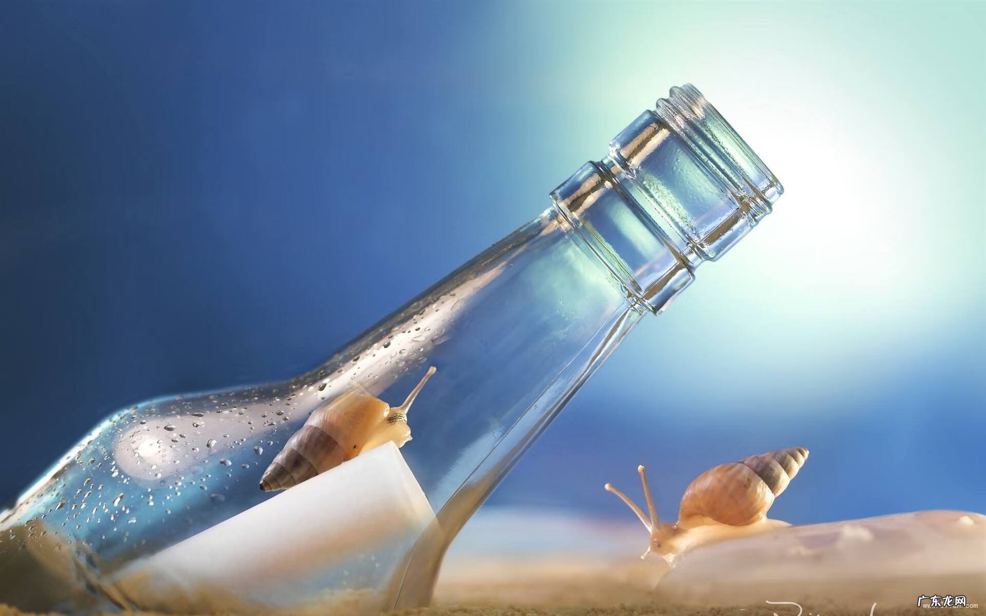 爱屋及乌是啥子意思 爱屋及乌是什么意思