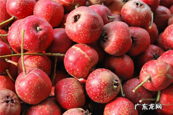 月子期间可以吃什么水果