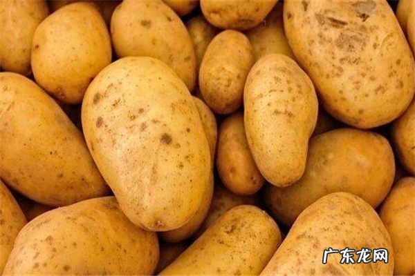 土豆和鸡蛋能一起吃吗有什么禁忌