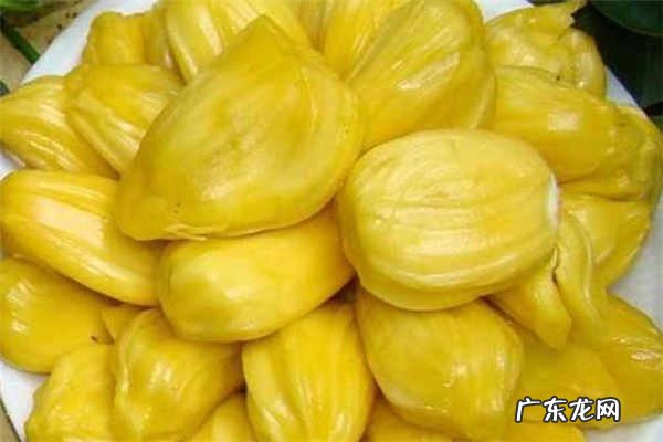 菠萝蜜一次可以吃几颗吃多了会怎样