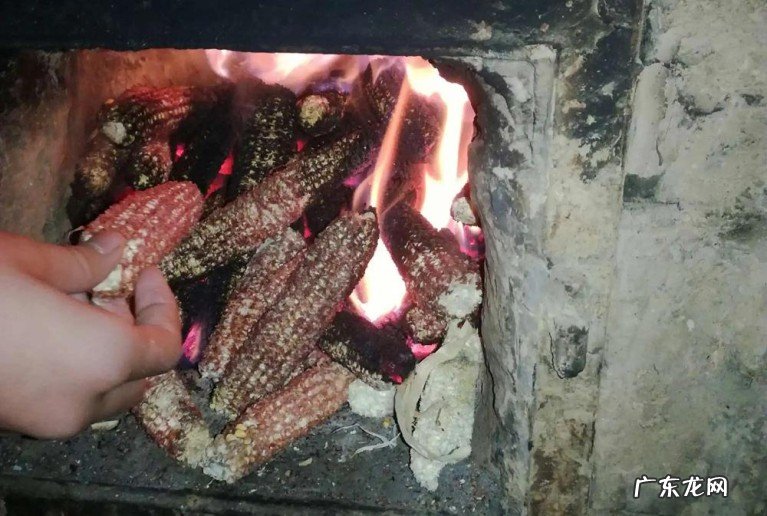 农村收购的玉米芯有什么用途,收走之后干什么了?