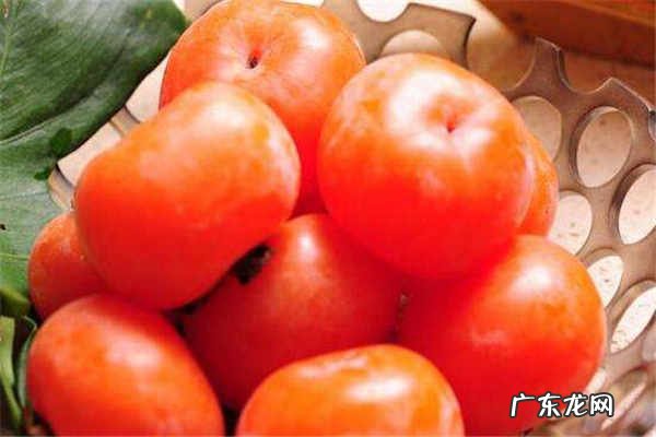 孕妇可以吃柿子吗注意事项有哪些