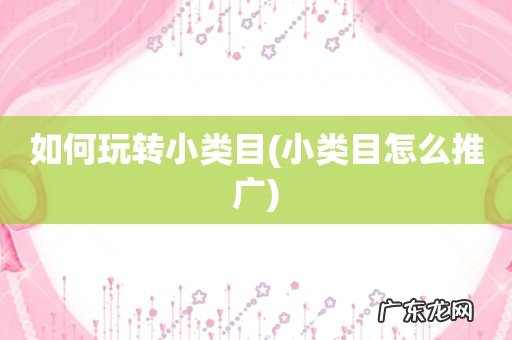 小类目怎么推广 如何玩转小类目