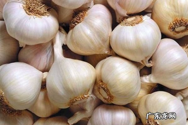 大蒜吃多了有什么副作用大量食用的坏处