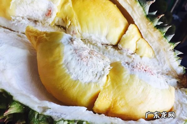 榴莲不能和什么一起吃食用禁忌有哪些