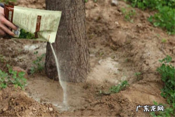 生根粉怎么用方法是什么