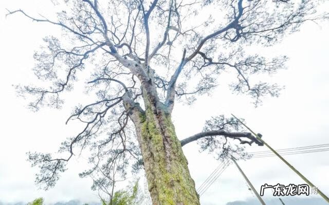 中国第一风水村图片 中国风水村图片大全大图