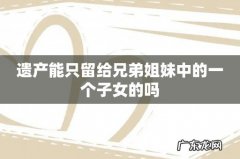 遗产能只留给兄弟姐妹中的一个子女的吗