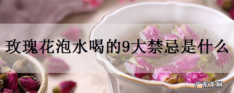 玫瑰花泡水喝的9大禁忌是什么