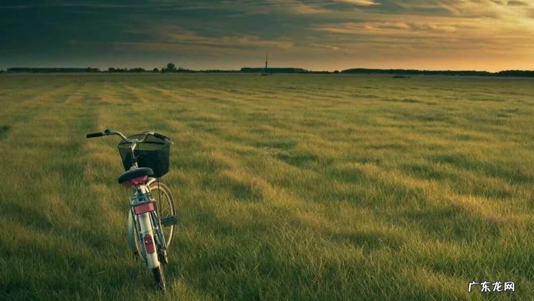 吝啬什么意思的解释