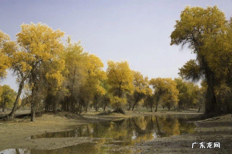 巴音郭楞蒙古自治州你了解吗?巴州有着众多的中国之最