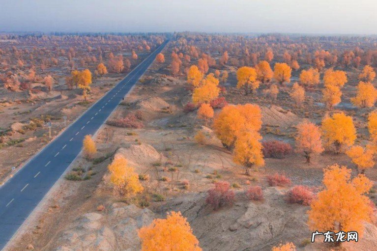 巴音郭楞蒙古自治州你了解吗？巴州有着众多的中国之最
