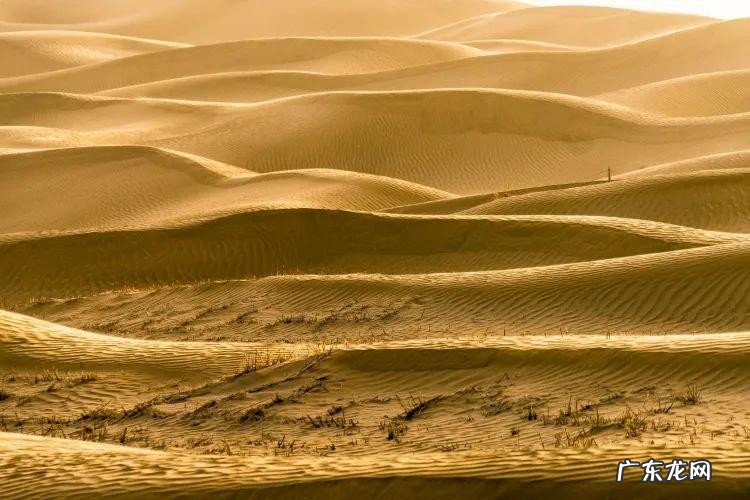 巴音郭楞蒙古自治州你了解吗?巴州有着众多的中国之最