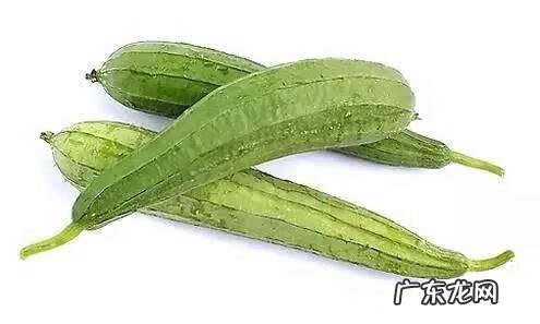 丝瓜的营养价值与作用 丝瓜的营养价值及功效
