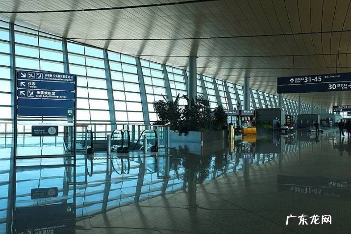 全球最繁忙的机场有哪些城市?