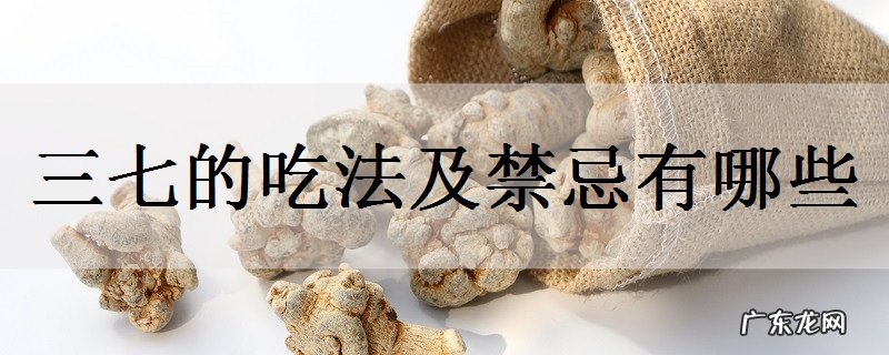 三七的吃法及禁忌有哪些