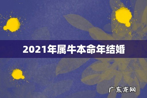 2021年属牛本命年结婚