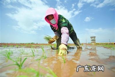 古人风水俗语 黄河水风水作用