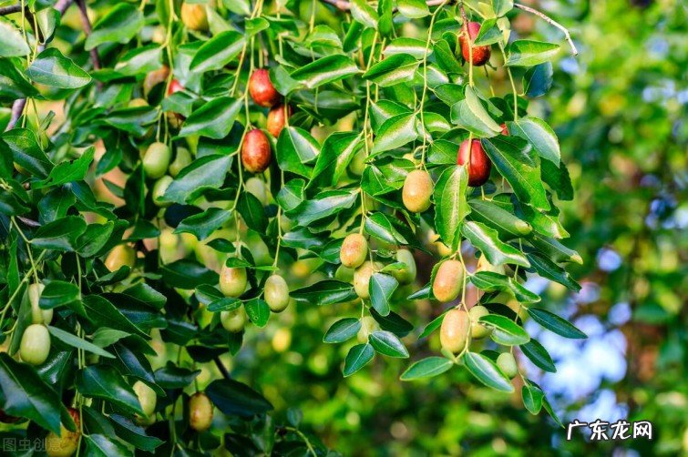 秋分的六首相关诗词盘点 秋分的诗句有哪些