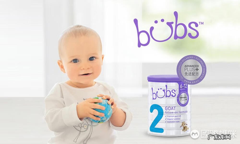 可瑞康价格 新西兰可瑞康价格多少