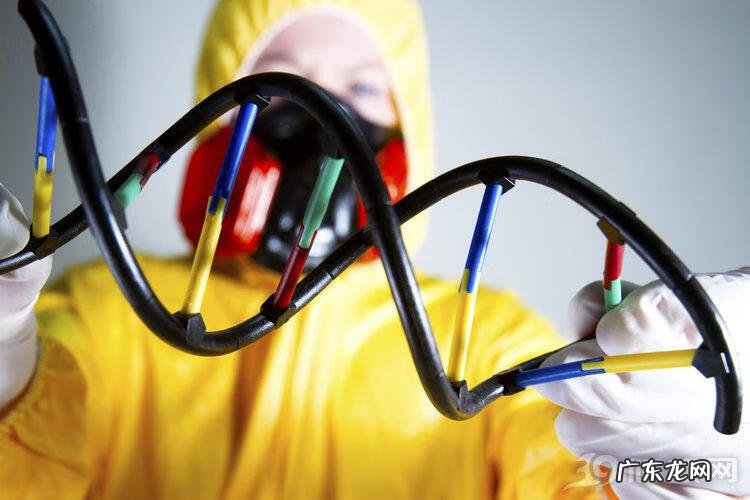 鼻癌症三期是什么程度