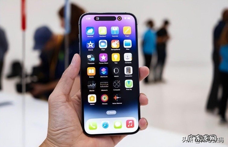 iPhone14ProMax和iPhone14Plus区别是什么？手机配置解读