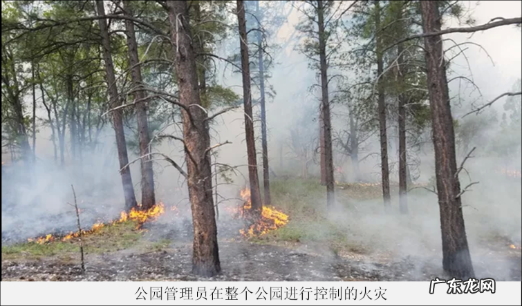 科罗拉多大峡谷国家公园10个重要的事实,你知道几个呢?