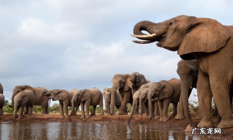 人口密度最低的十个国家 人口密度最大的国家排名