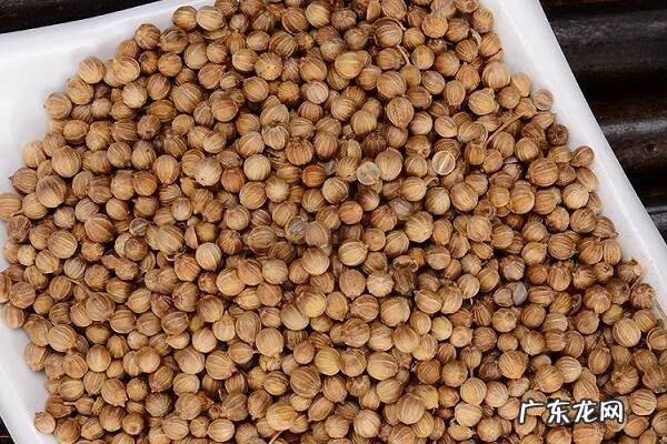 蔬菜种子可以直接种吗是否需要浸种