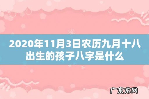 2020年11月3日农历九月十八出生的孩子八字是什么