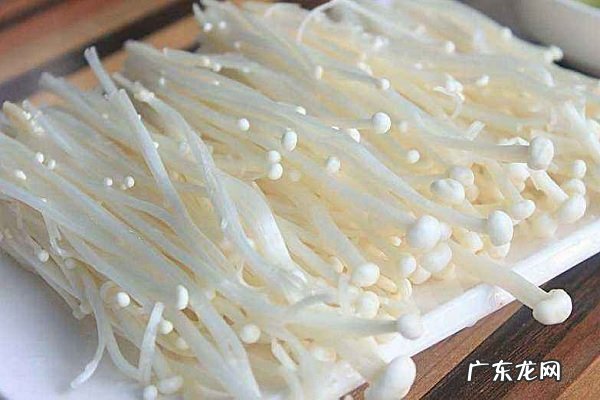 怎么养金针菇的根养殖方法有哪些