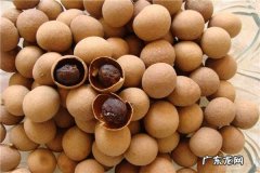 桂圆什么时候成熟几月份吃好