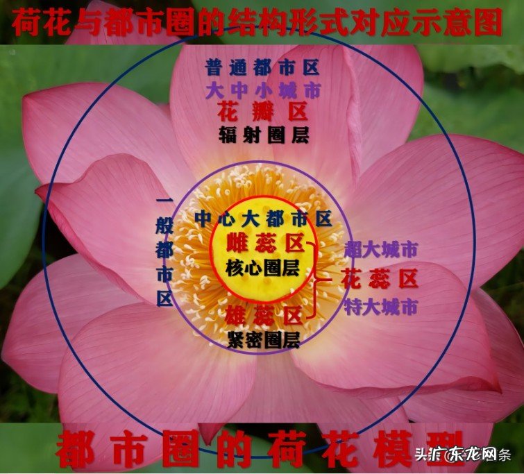 一个都市圈到底可以有多大?都市圈编制规划的标准和依据是什么?