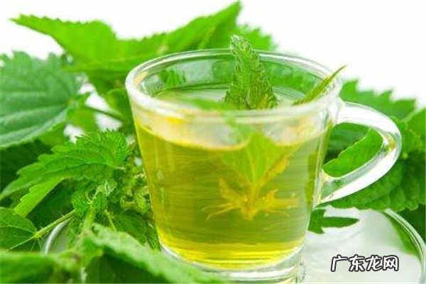 薄荷茶能天天喝吗喝多少合适