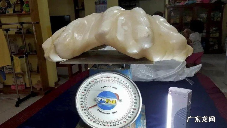 最贵的天然珍珠多少钱 全球最贵十颗珍珠排行榜