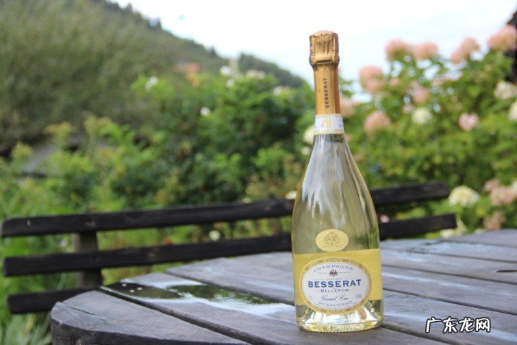排名最靠前的十款白中白香槟 香槟酒什么牌子好喝