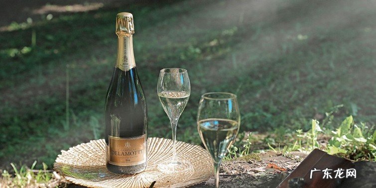 排名最靠前的十款白中白香槟 香槟酒什么牌子好喝