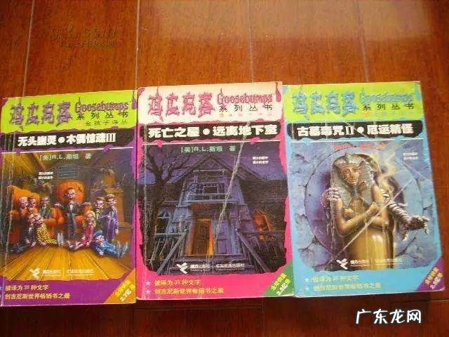 鸡皮疙瘩系列丛书txt中文 鸡皮疙瘩系列丛书阅读