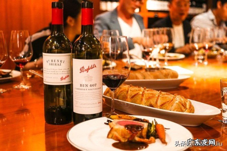 奔富407怎么就一枝独秀,奔富407火起来的内在原因是什么?