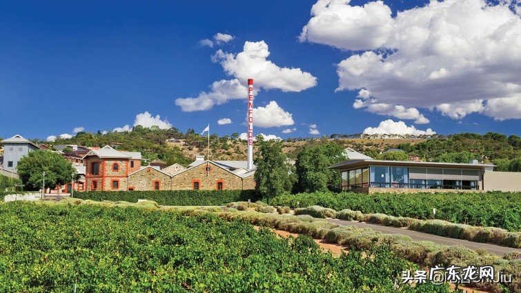 奔富红酒系列常见酒款有哪些？奔富葡萄酒独特之处在哪里？