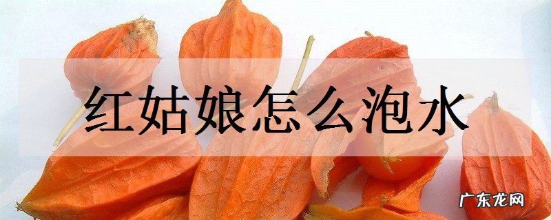 红姑娘怎么泡水营养价值有哪些