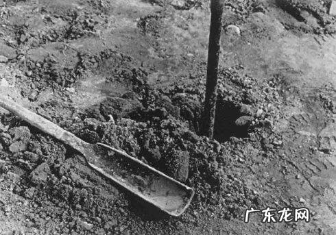 坟地风水顺口溜 风水与偷坟掘墓的关系