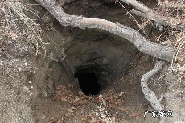 坟地风水顺口溜 风水与偷坟掘墓的关系