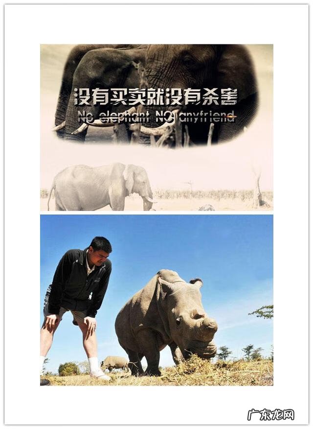 坟地风水顺口溜 风水与偷坟掘墓的关系