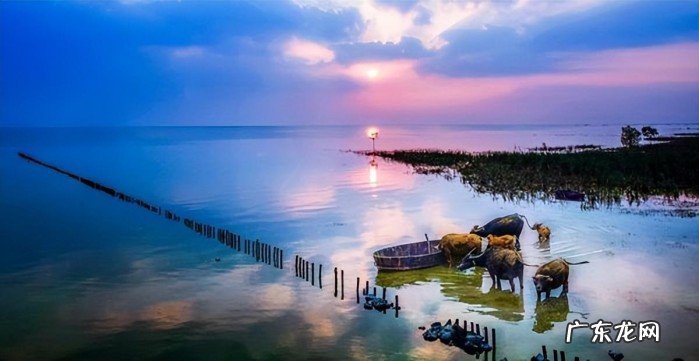 巢湖市有哪些乡镇街道 巢湖面积人口是多少